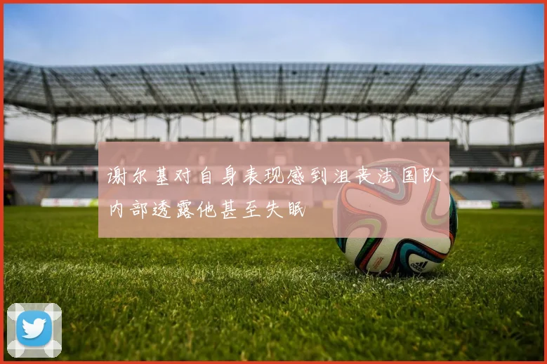 谢尔基对自身表现感到沮丧法国队内部透露他甚至失眠