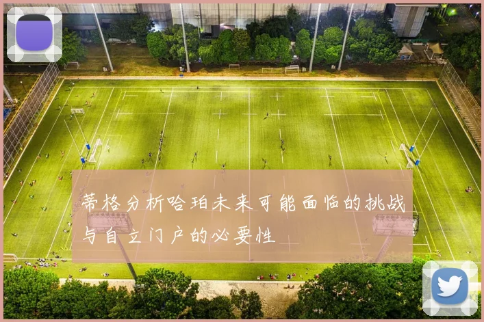 蒂格分析哈珀未来可能面临的挑战与自立门户的必要性