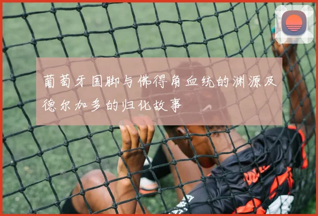 葡萄牙国脚与佛得角血统的渊源及德尔加多的归化故事